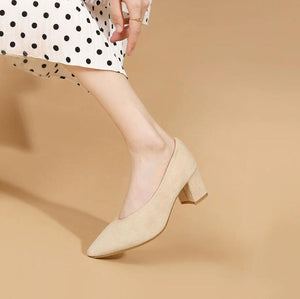 Small Size Pointy Chunky Heel Shoes ES95