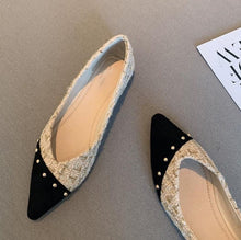 Women's Petite Feet Pointy Flat Shoes AW2656