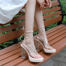 Petite Platform Chunky High Heel Clear Shoes GS105