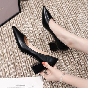Petite Pointy Chunky Heel Shoes GS17