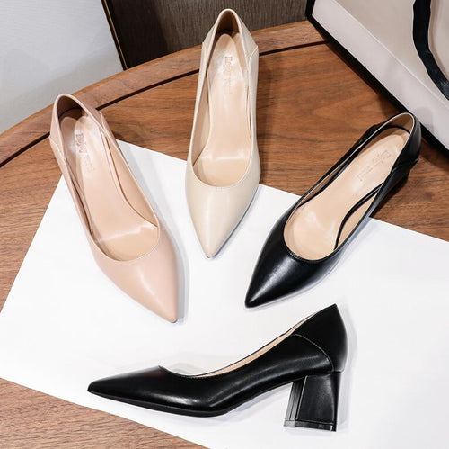 Petite Pointy Chunky Heel Shoes GS17