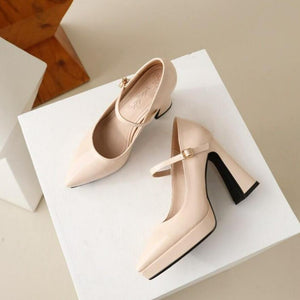 Small Pointy Platform Chunky Heeled Pumps GS156