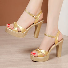 Small Size Chunky High Heel Sandals DS278