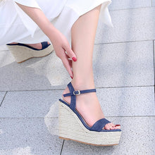 Small Size Platform High Heel Wedge Sandals ES13