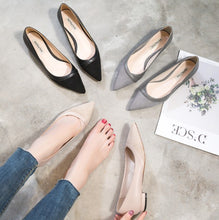 Small Size Pointy Toe Flat Heel Shoes SS315