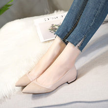 Small Size Pointy Toe Flat Heel Shoes SS315